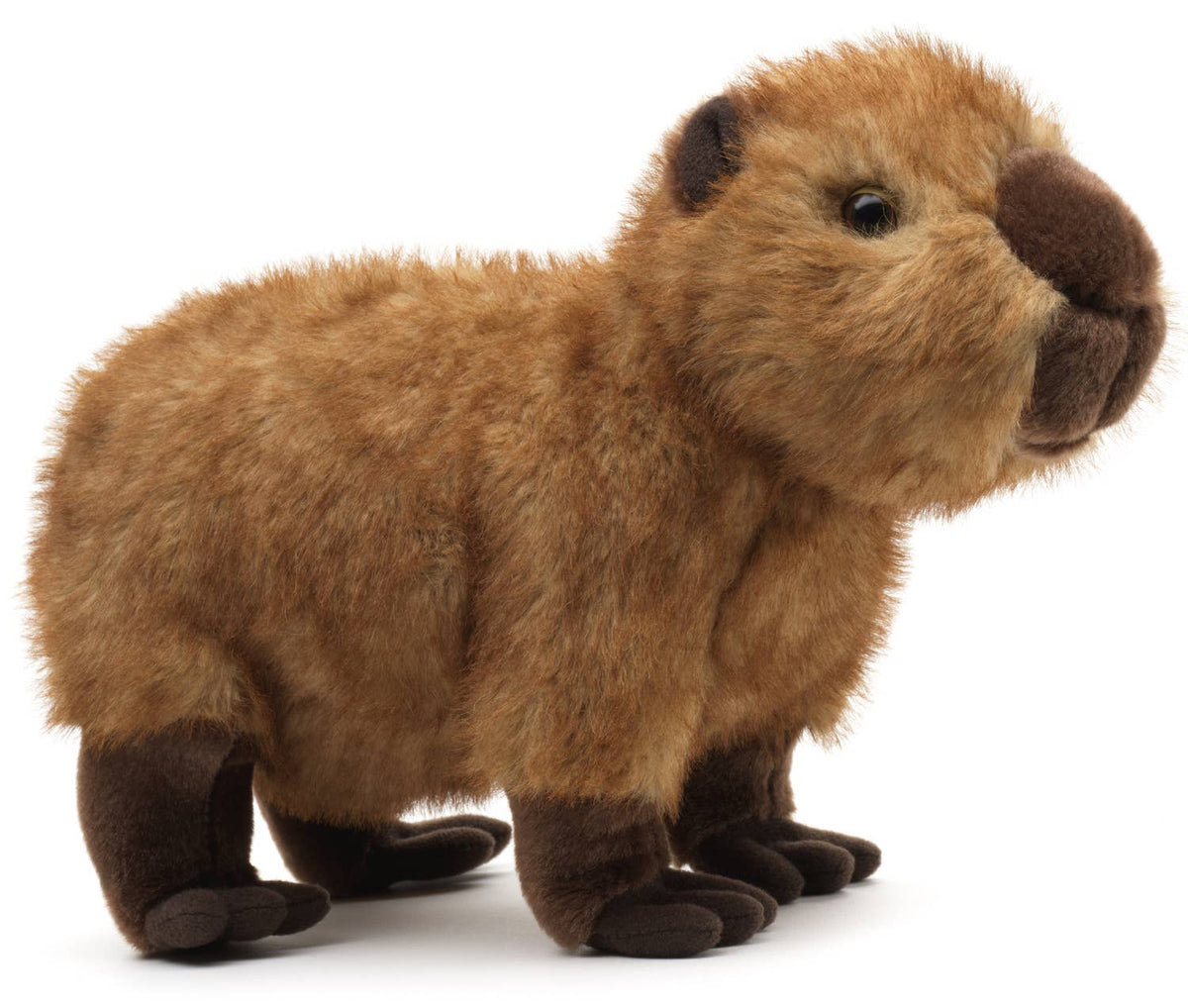 Capybara, stående - 27 cm lang - Plysdyr