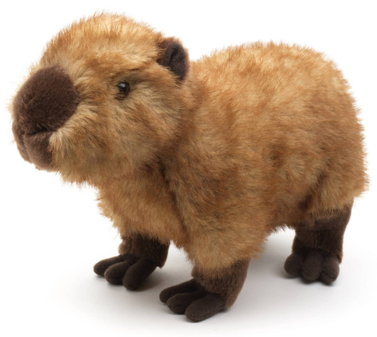 Capybara, stående - 27 cm lang - Plysdyr