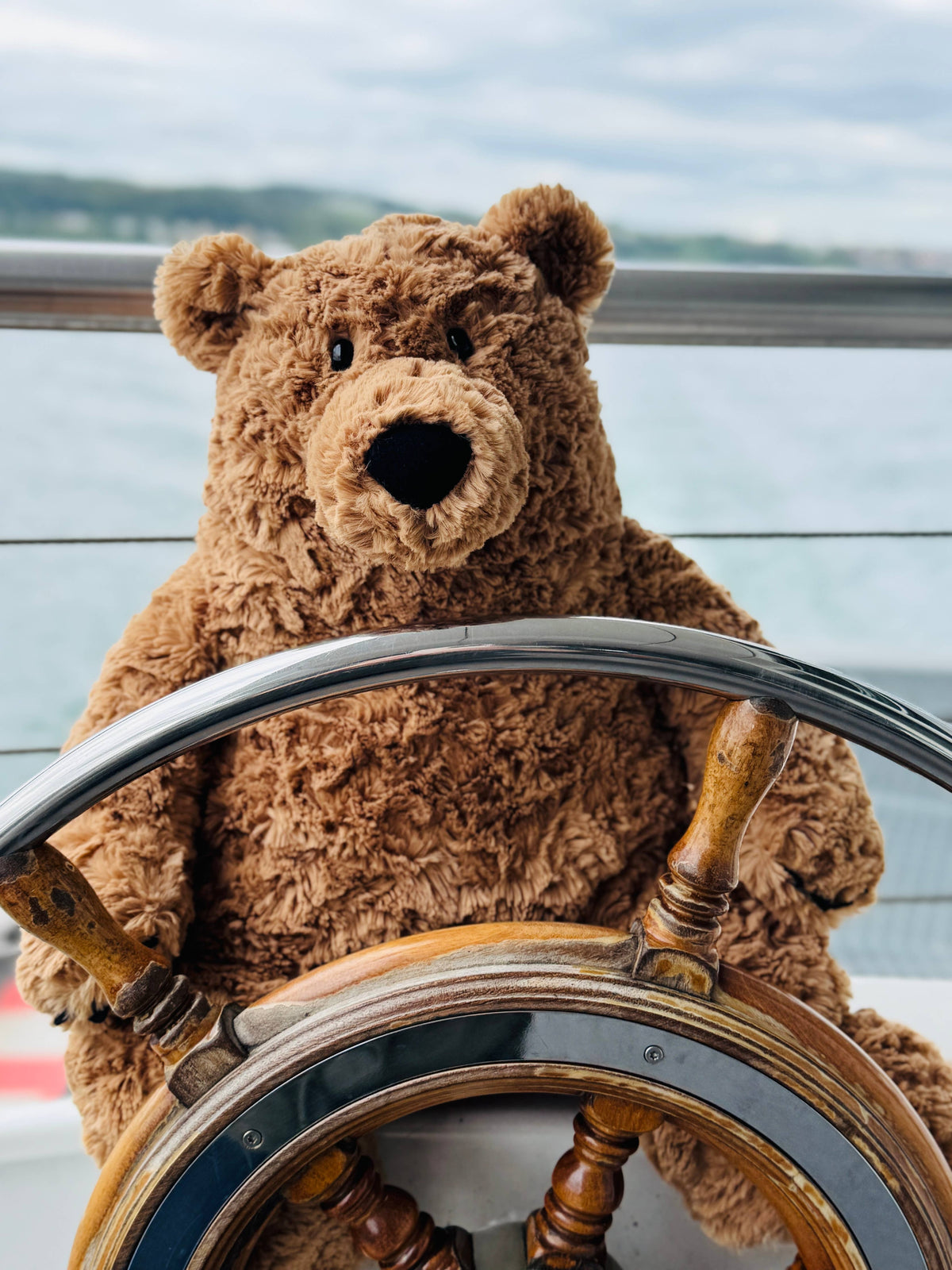 Brun bjørn Casimir 50 cm - krammedyr - bamse