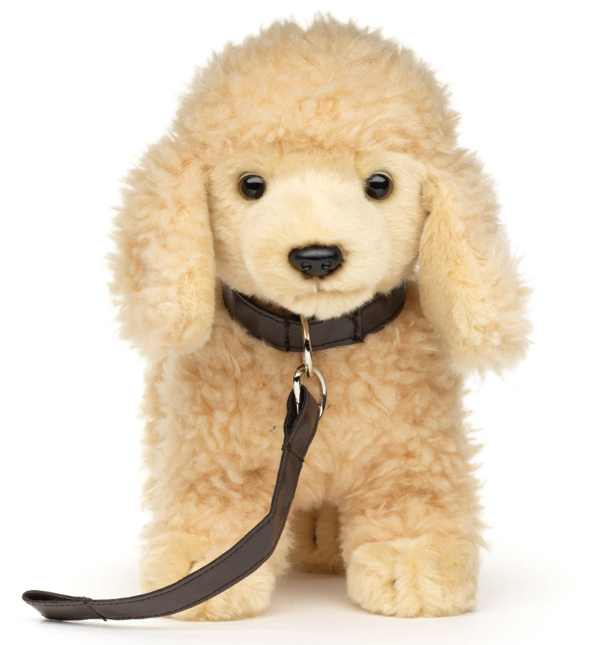 Abrikosfarvet puddelhund, stående med snor - 30 cm lang