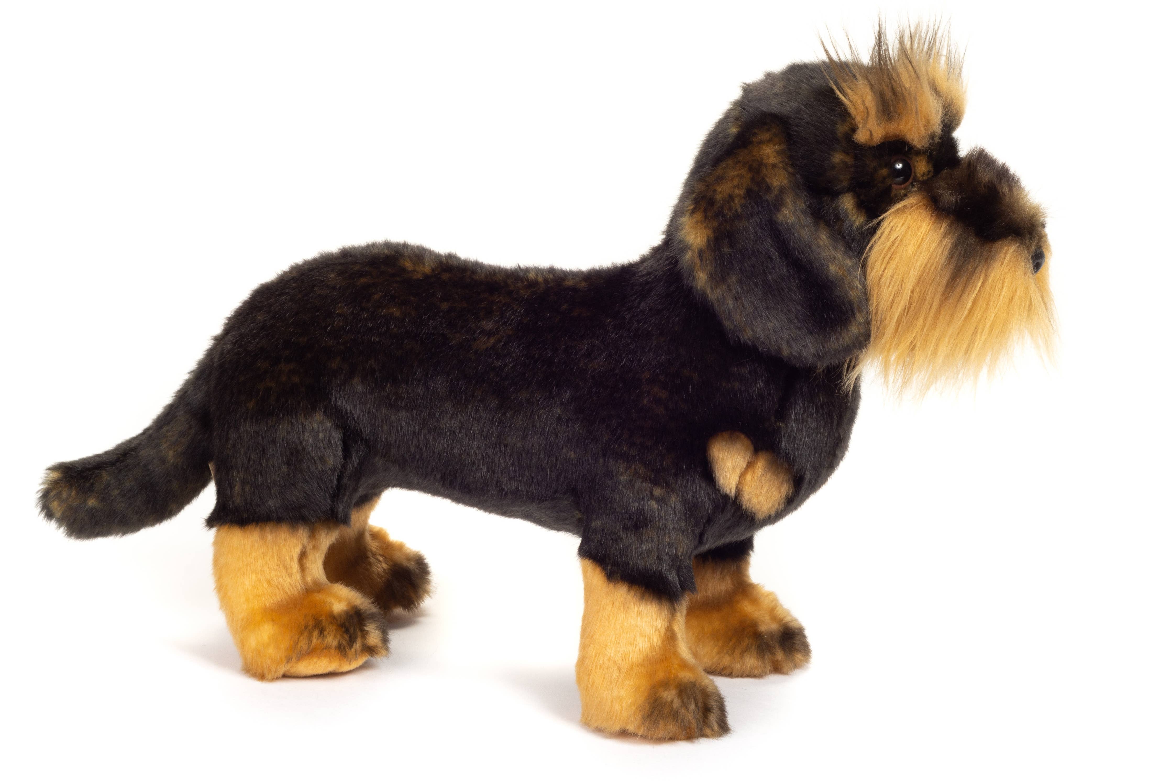 Korthåret gravhund stående 28 cm - bamse - blød legetøj