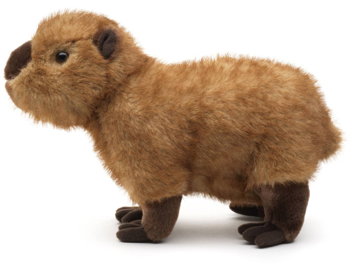 Capybara, stående - 27 cm lang - Plysdyr