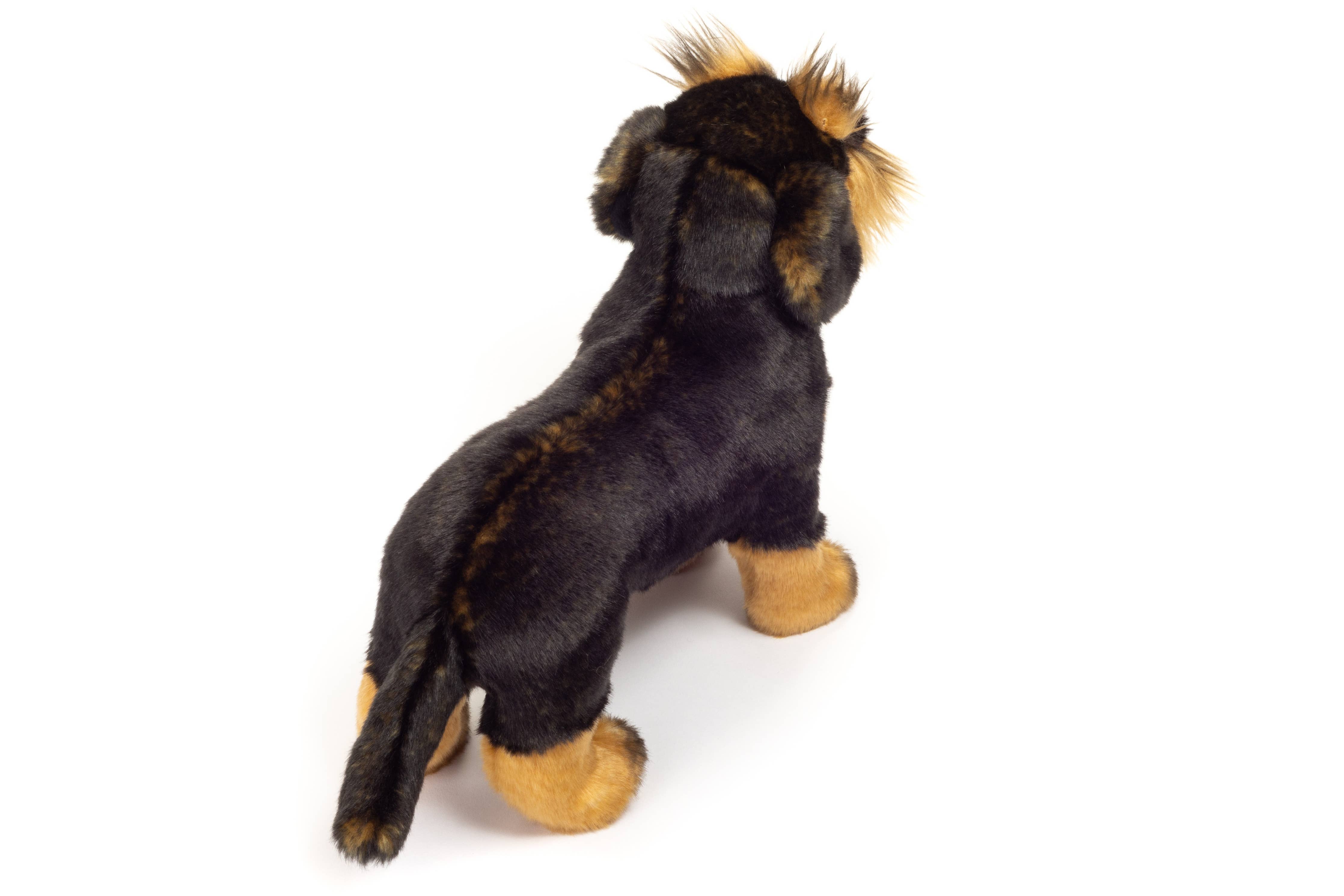 Korthåret gravhund stående 28 cm - bamse - blød legetøj